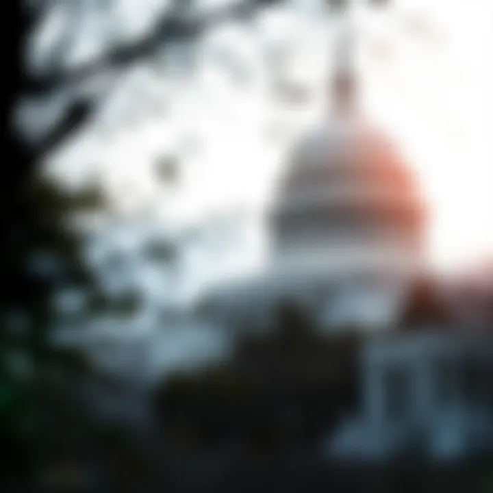 Magnificent Anticipating Federal Rate Adjustments: Insights and Implications