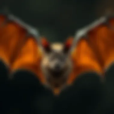 Magnificent Exploring Bat on CoinMarketCap: An In-Depth Analysis Magnificent Exploring Bat on CoinMarketCap: An In-Depth Analysis