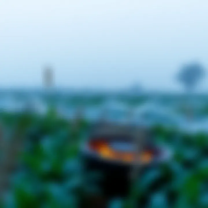 Magnificent Navigating Degen Yield Farming in Cryptocurrency