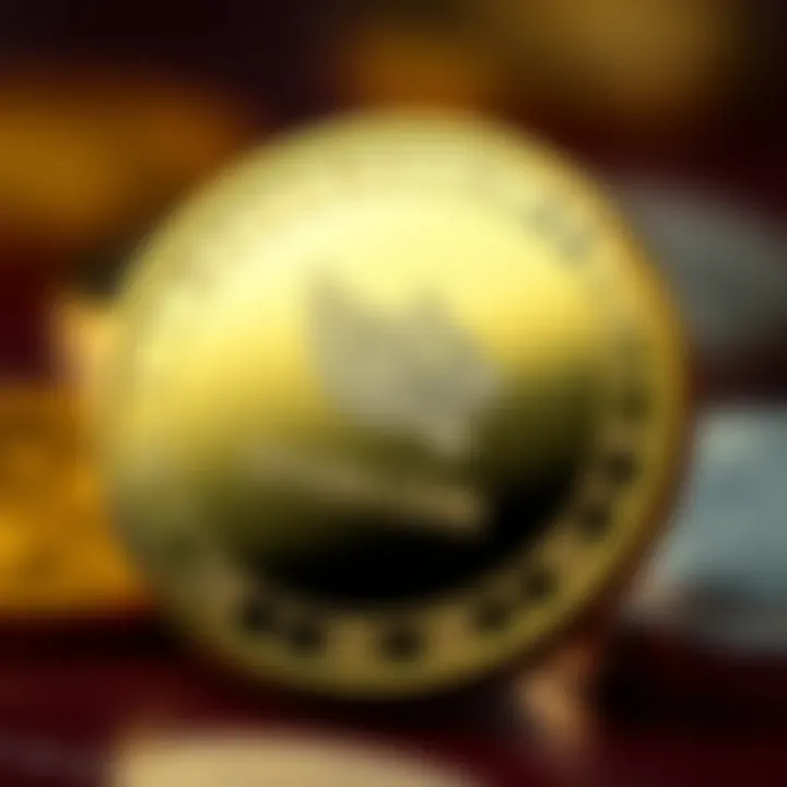 An In-Depth Analysis of Shiba Coin and Its Functionality Summary