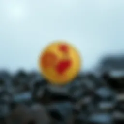Exploring Rooster Coin: A Comprehensive Insight Introduction