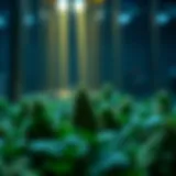 Exploring the Intersection of Mycelium and Cryptocurrency Introduction