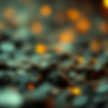 Exploring the Intersection of Mycelium and Cryptocurrency Summary