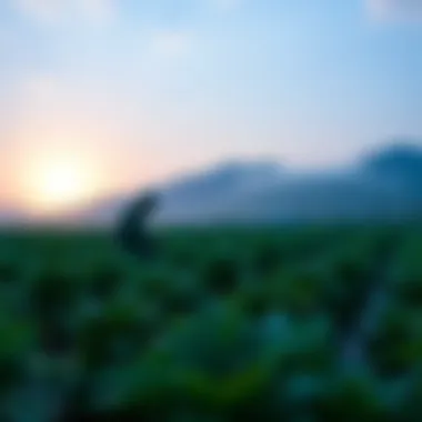 Notable Navigating Degen Yield Farming in Cryptocurrency Notable Navigating Degen Yield Farming in Cryptocurrency
