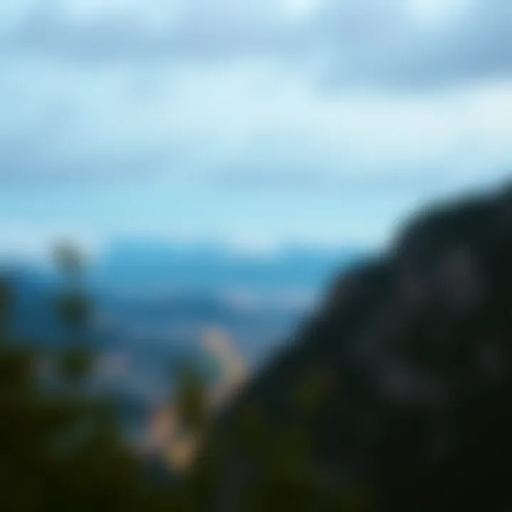 Navigating the Landscape: Where to Buy Polkadot Summary