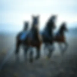 NFT Horses: Exploring the Intersection of Digital Assets and Equestrian Culture Introduction