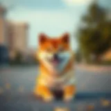 Shiba Inu cryptocurrency logo